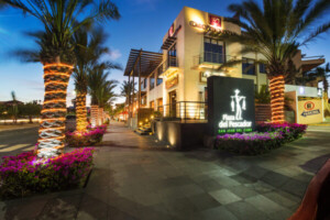 Best San Jose del Cabo Shopping Malls