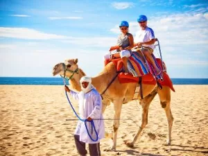 Cosas que Hacer en San José del Cabo