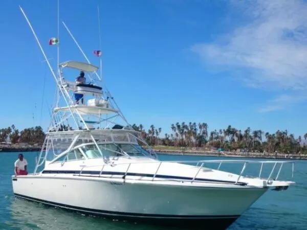 Los Barriles Fishing Charters