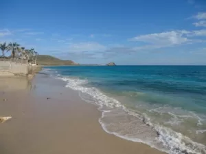 Cabo Pulmo Cabo del Este Los Cabos Mexico