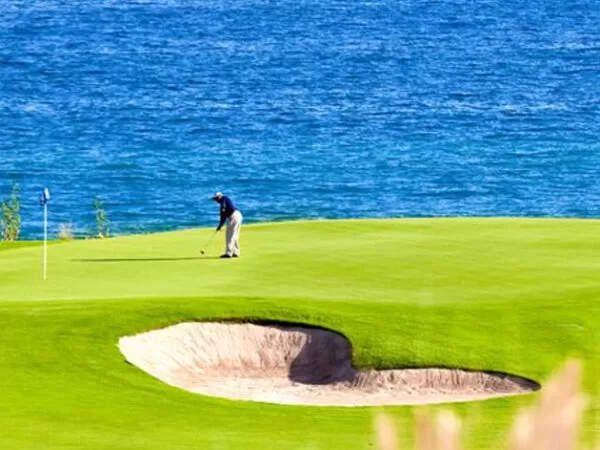 What to do in San Jose del Cabo Mexico