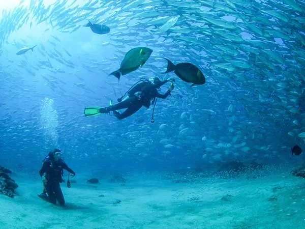 Buceo en Cabo del Este