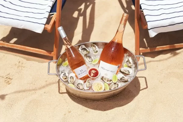 SUR for Every Occasion Rest, Adventure, and Celebration