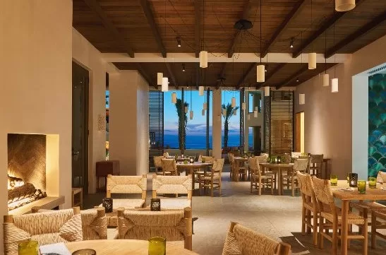 Best Todos Santos Restaurants in Baja California Mexico