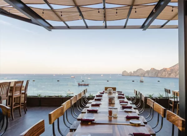 Best Craft Beer Cabo San Lucas Los Cabos Mexico