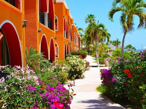 Sea of Cortez Fishing Resorts