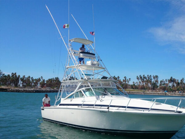 east-cape-fishing-charters-packages-report-sea-of-cortez