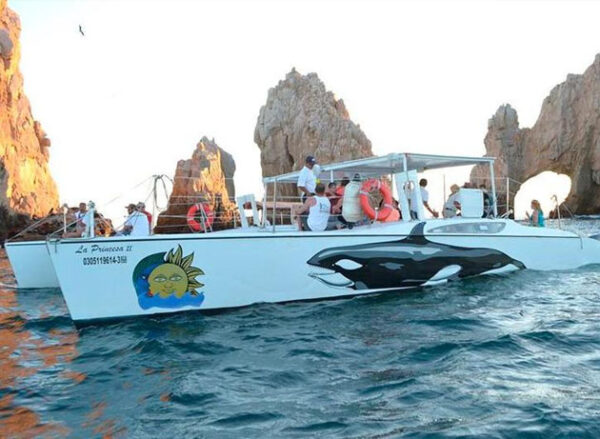 boat rentals in los cabos